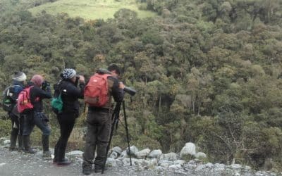 El Conteo Mundial 2020 en Parque Nacional Llanagantes