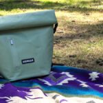 Do you really need ICEMULE’s Ultra-Portable Backpack Cooler?